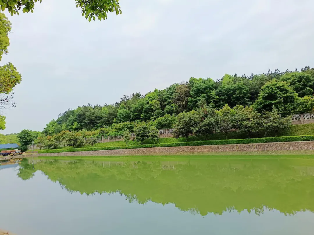 160408660.png 2.webp.png