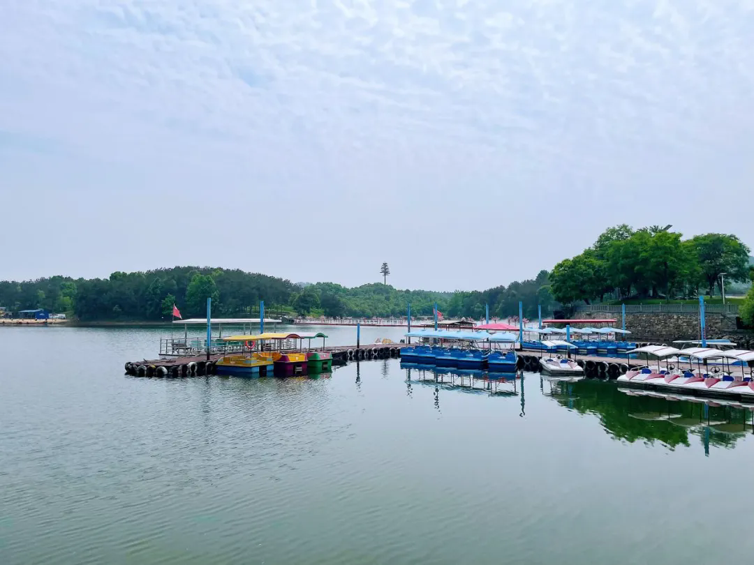 161002106.png 3.webp.png