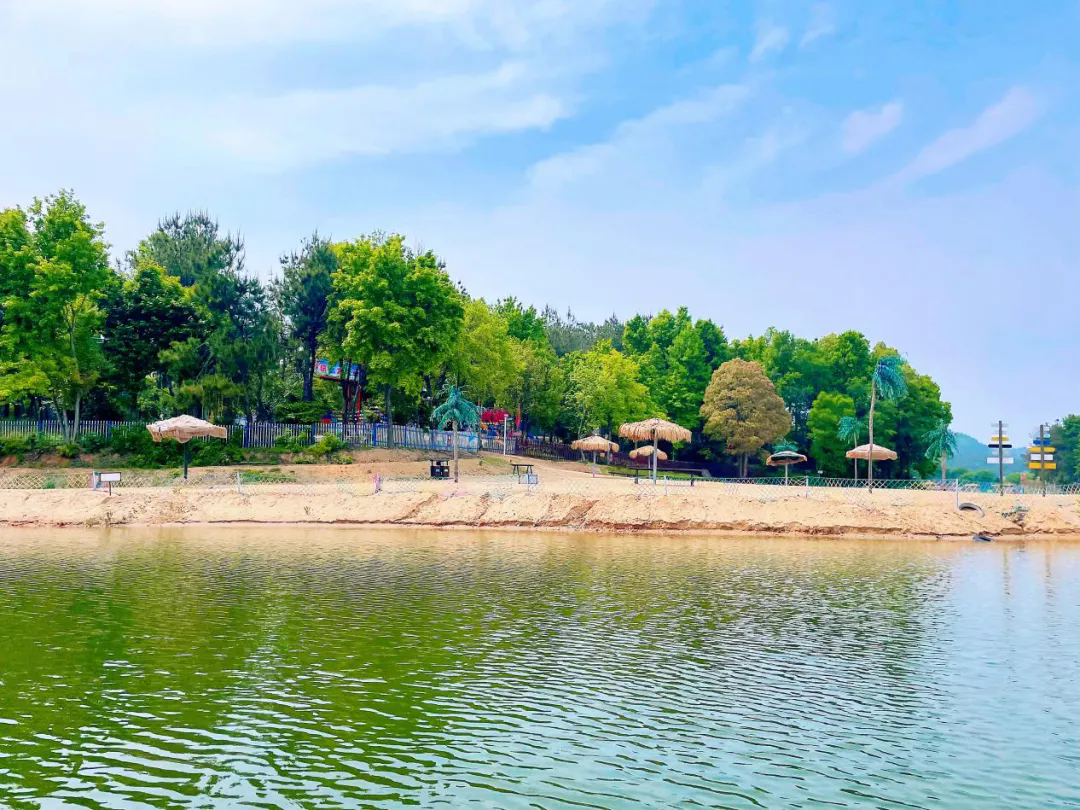 161019127.png 4.webp.png