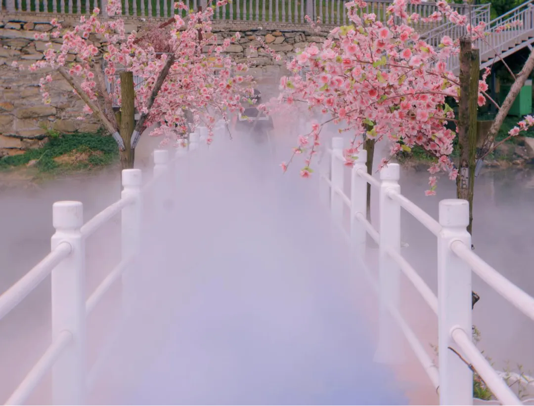 161135117.png 9.webp.png